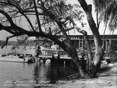 Vintage photo of the jungle treasure house